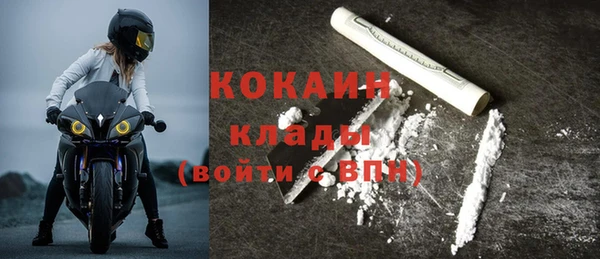 молекула духа Семилуки