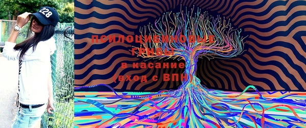 мдпв Снежинск