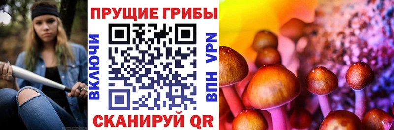 omg зеркало маркетплейс формула Псилоцибиновые грибы Psilocybine cubensis Купино